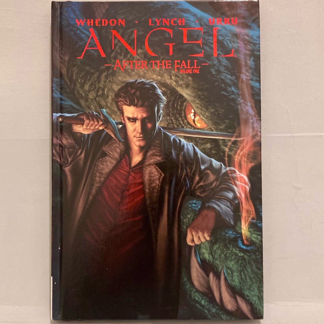 Angel: after the Fall Volume 1