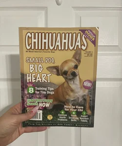 Chihuahuas Magazine 