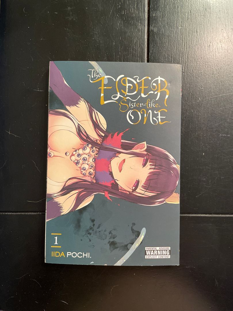 The Elder Sister-Like One, Vol. 1