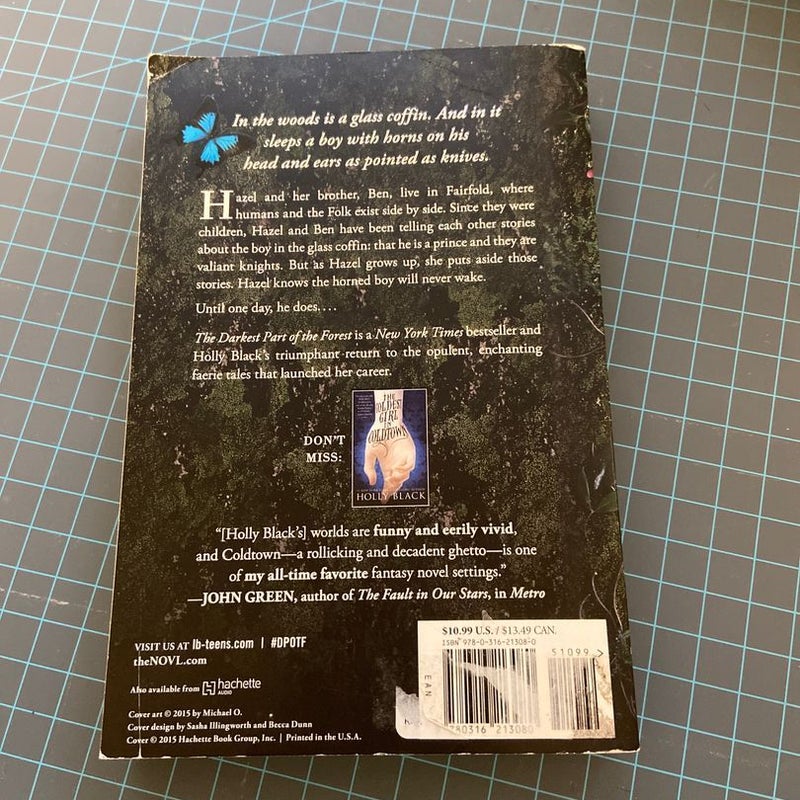 The Darkest Part of the Forest by Holly Black Paperback Pangobooks