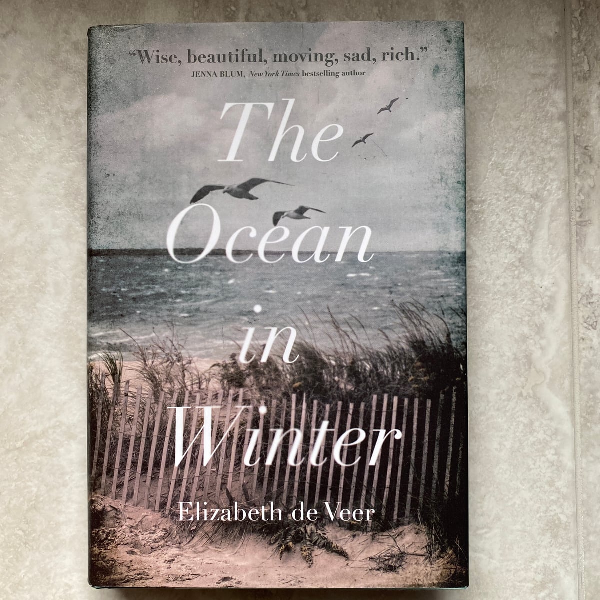 The Ocean in Winter