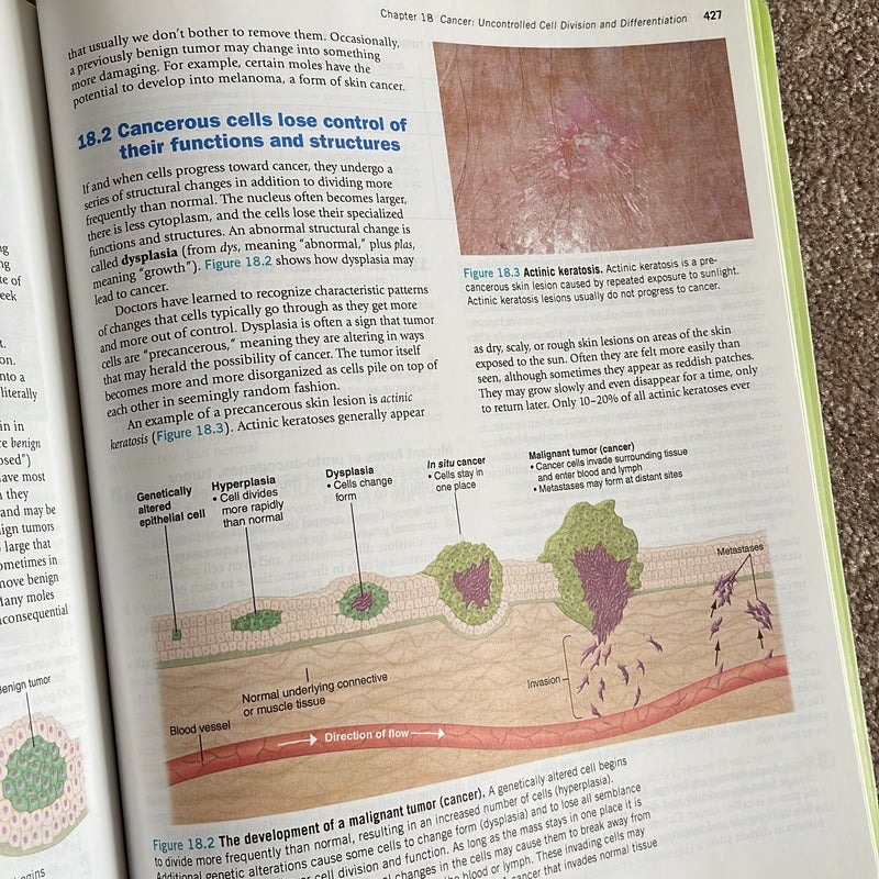 Human Biology: Concepts and Current Issues