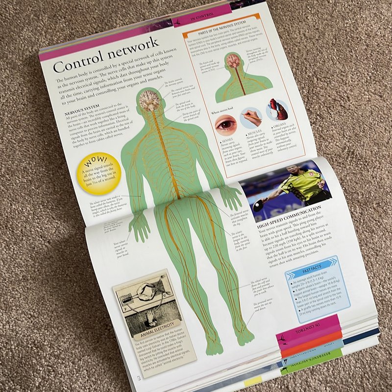 Human Body: a Visual Encyclopedia by DK