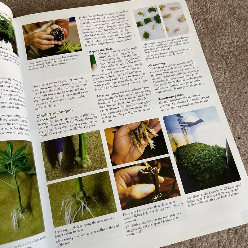 The Cannabis Encyclopedia