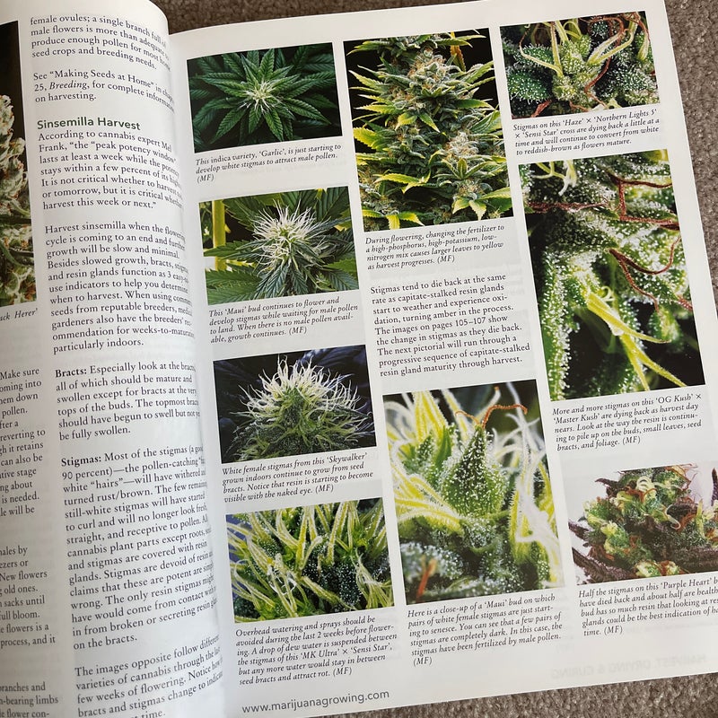 The Cannabis Encyclopedia