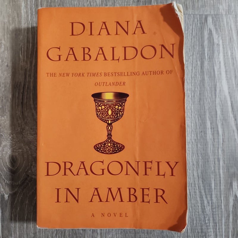 Dragonfly in Amber