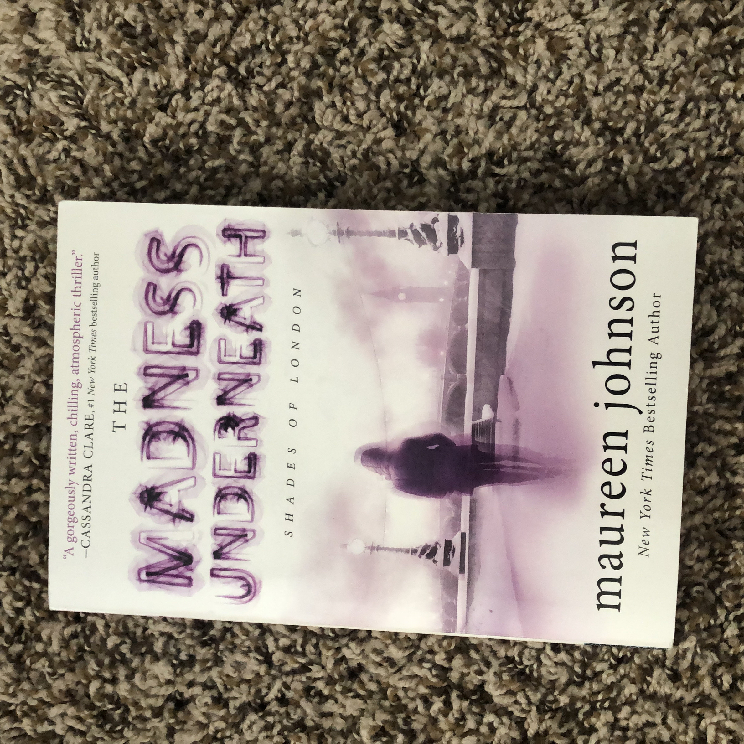 The Madness Underneath book cover