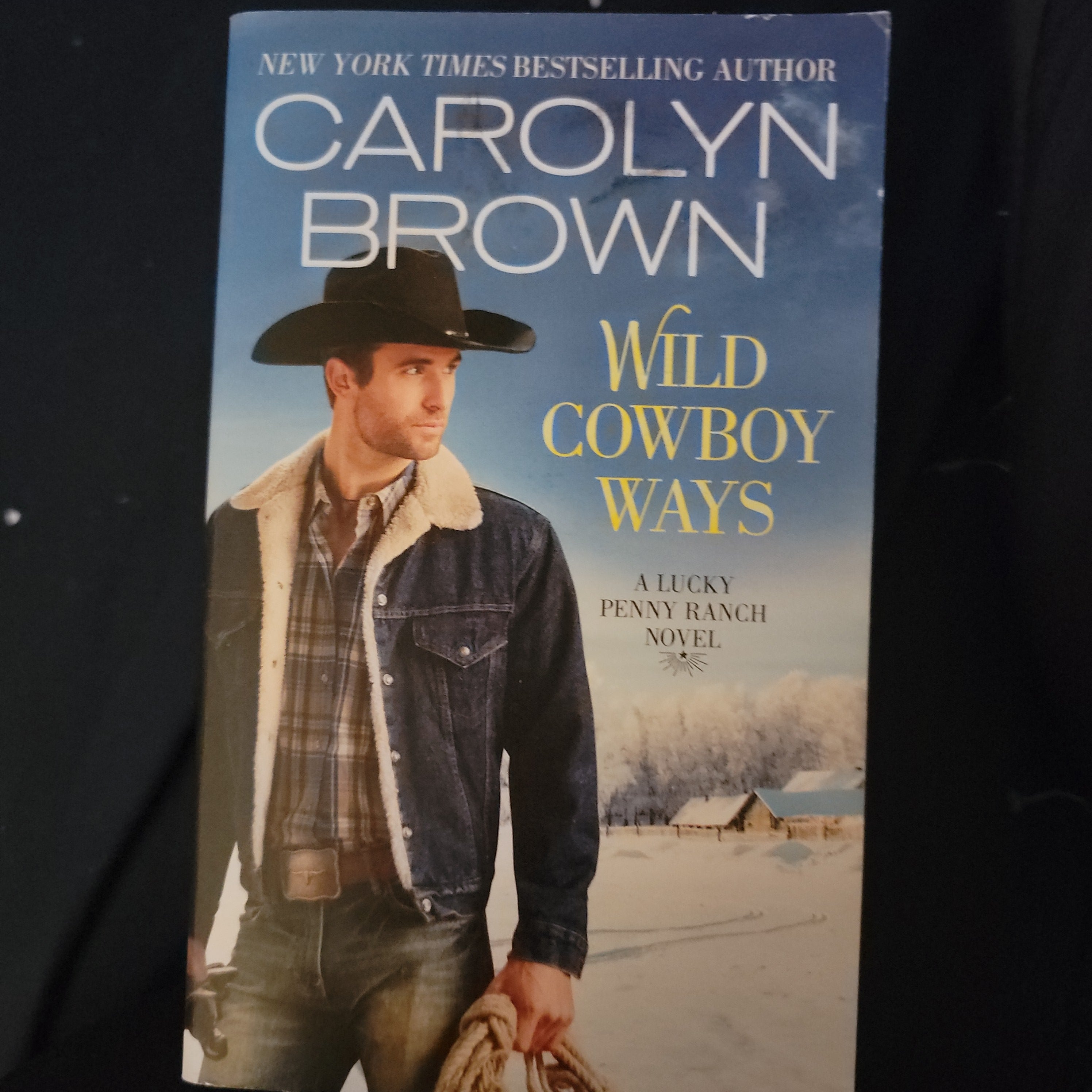 Wild Cowboy Ways