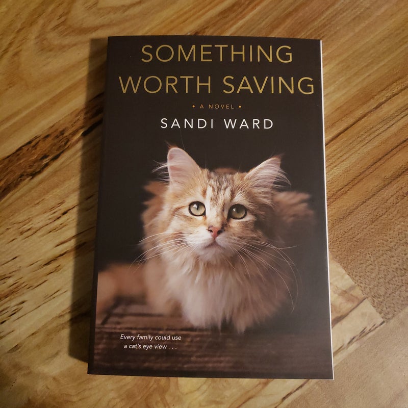 Something Worth Saving