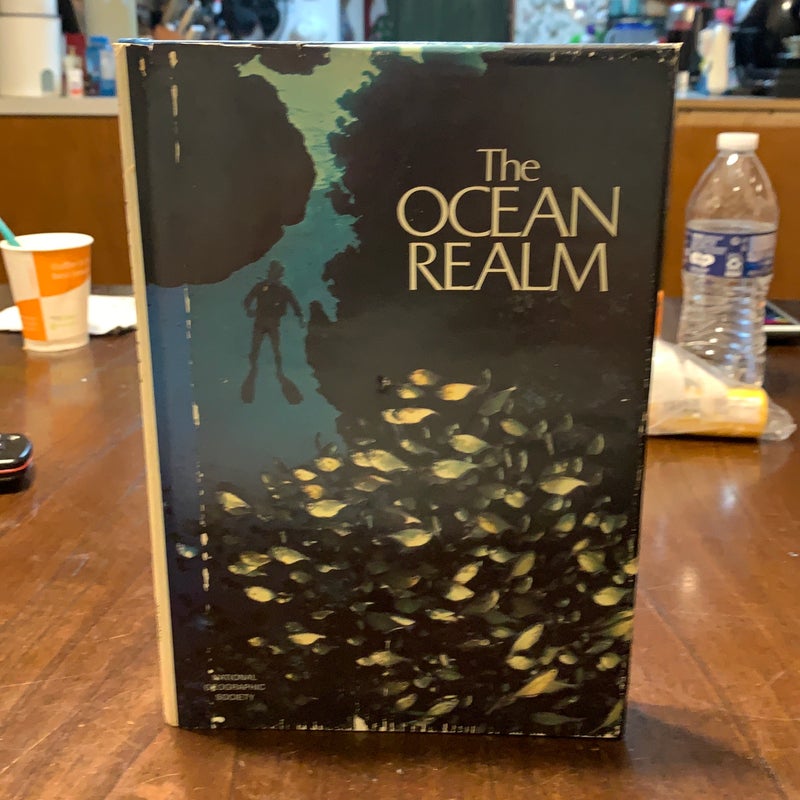 The Ocean Realm