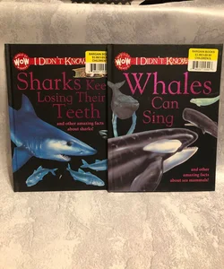 Sharks/Whales Set of 2