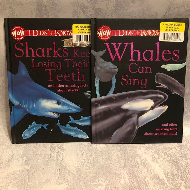 Sharks/Whales Set of 2