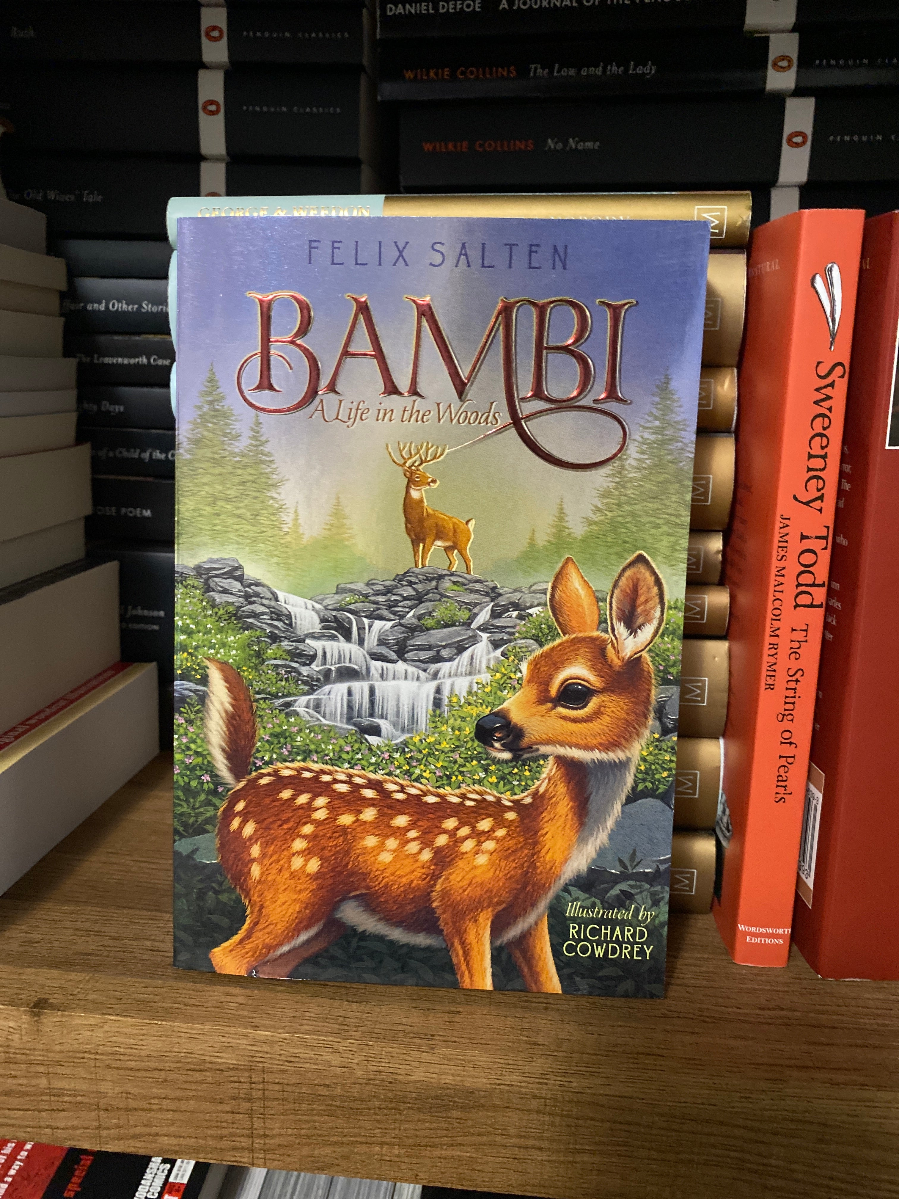 Bambi