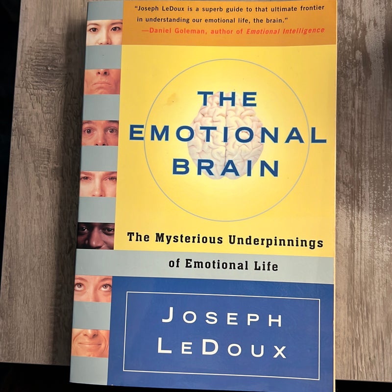 The Emotional Brain