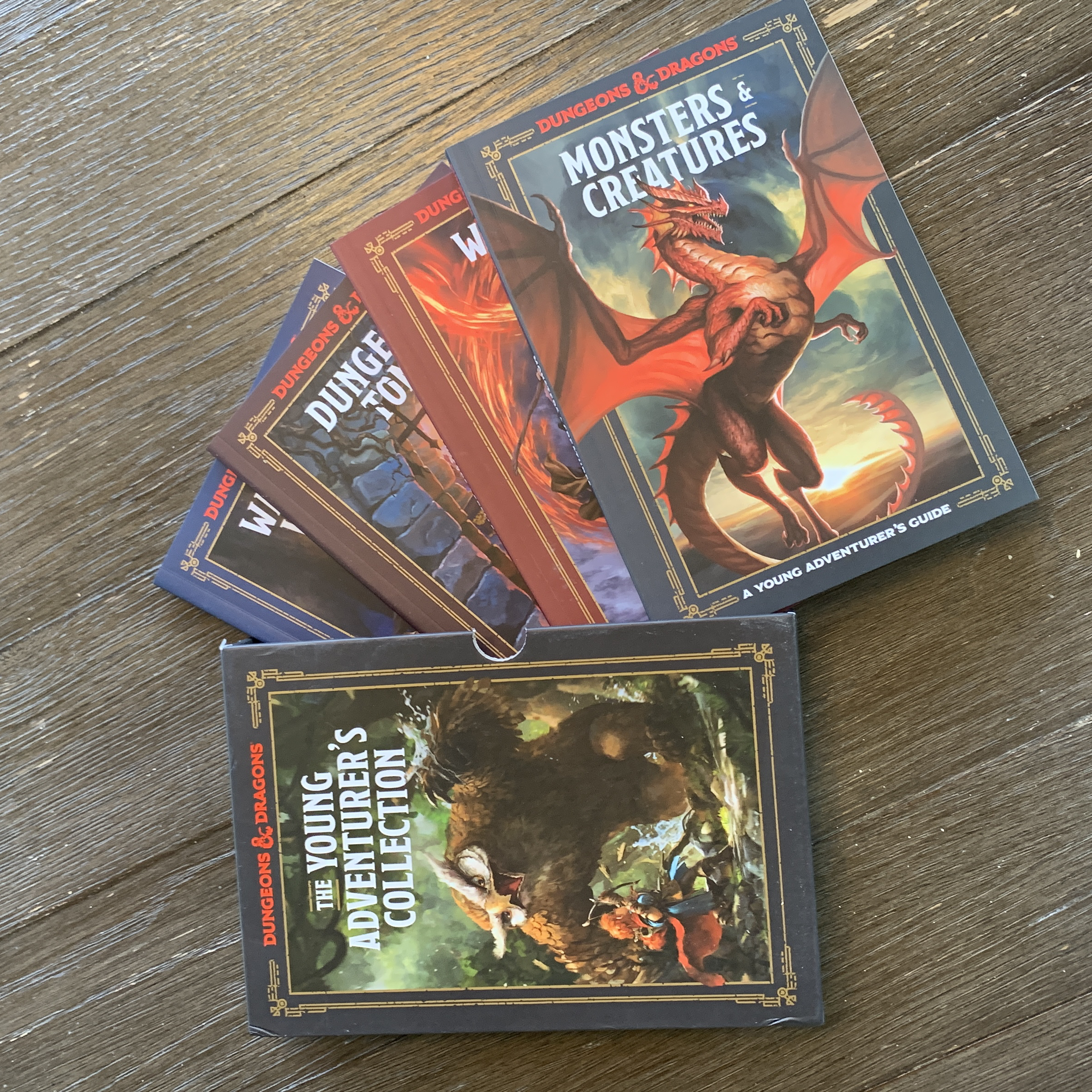 The Young Adventurer's Collection [Dungeons and Dragons 4-Book Boxed Set]