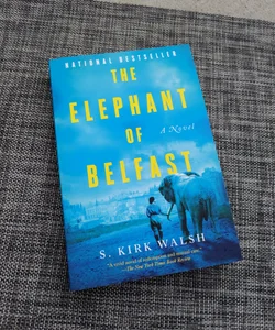 The Elephant of Belfast