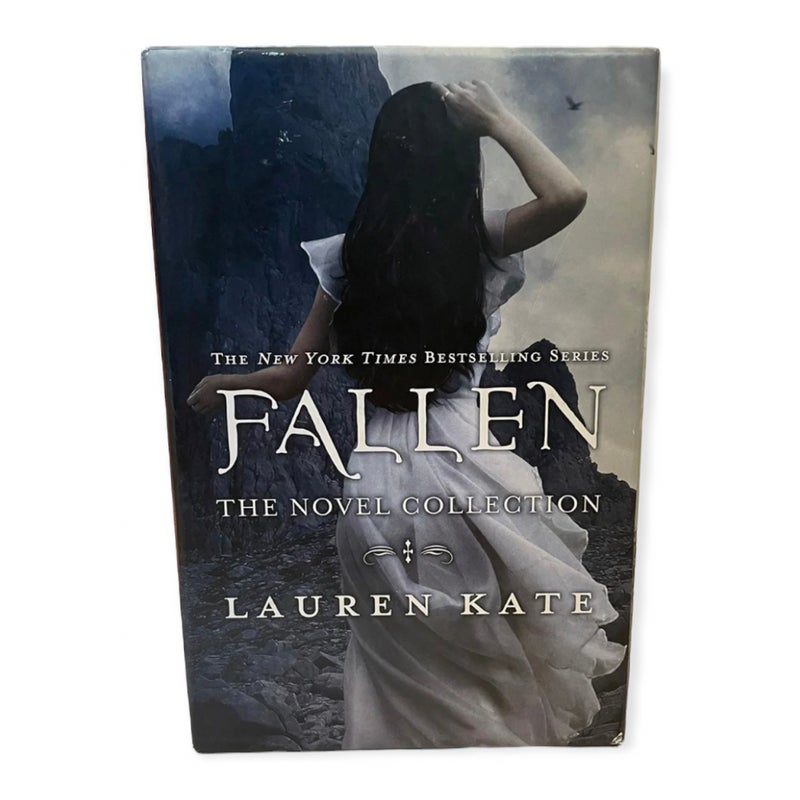 The Fallen Series Boxed Set