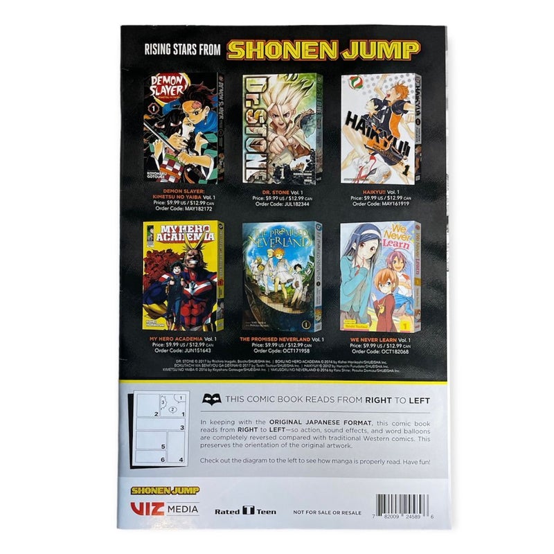 My Hero Academia Free Comic Book Day 2019 Viz FCBD The Promised Neverland Manga