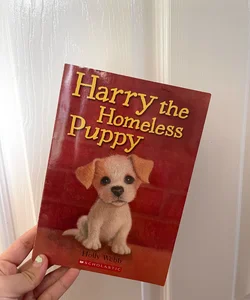 Harry the Homeless Puppy