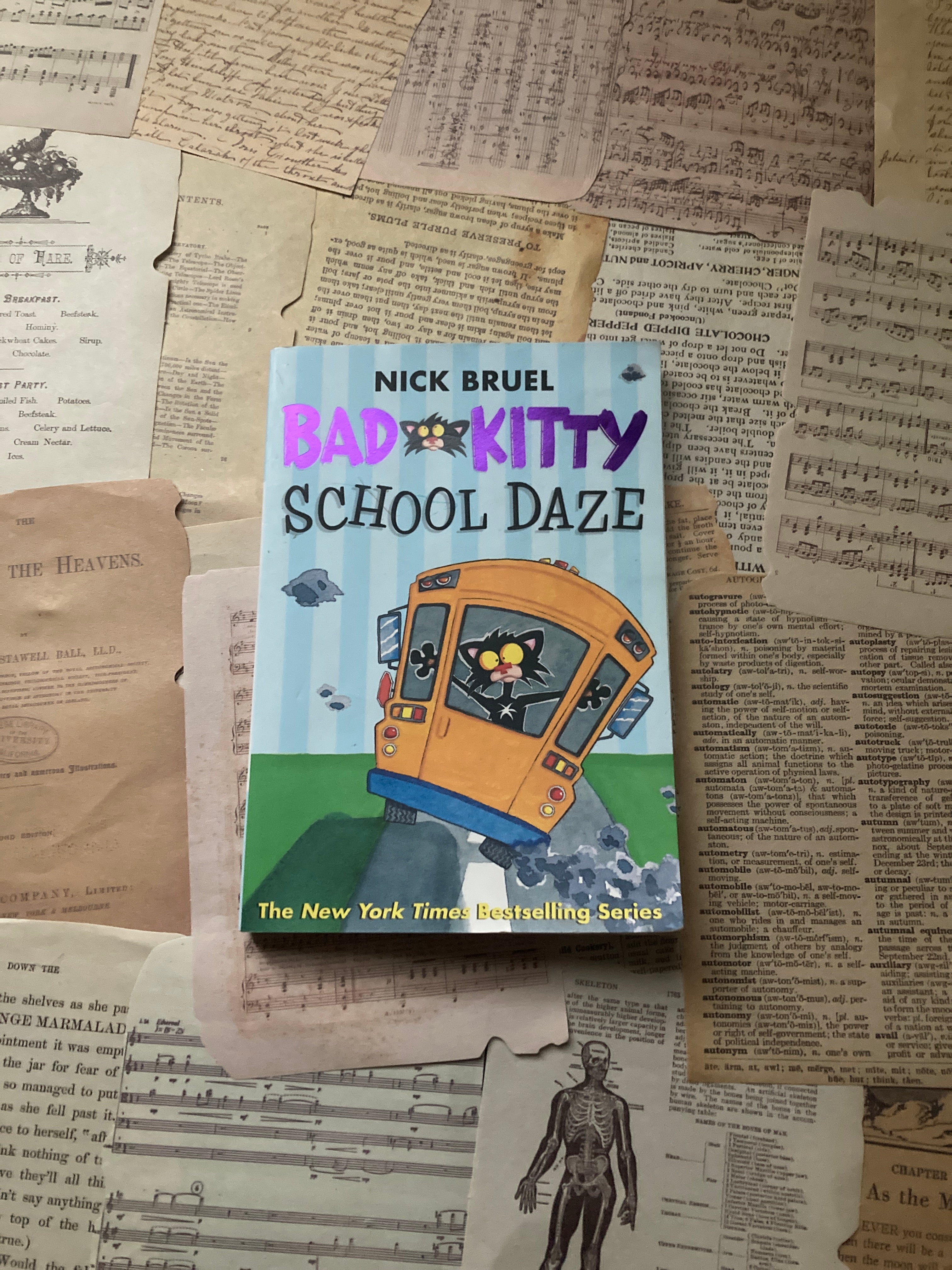 Bad Kitty School Daze