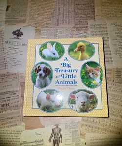 Big Treasury of Little Animals