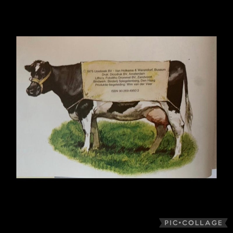 XL Art Book Dutch Farm Estate Life Hardcover 