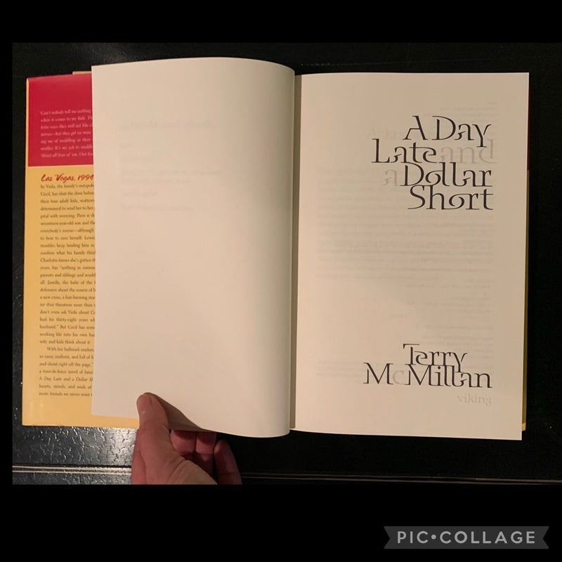 A Day Late and a Dollar Short A Novel by Terry McMillan