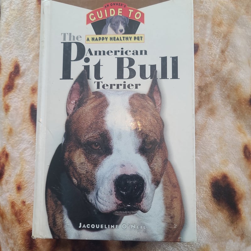 The American Pit Bull Terrier