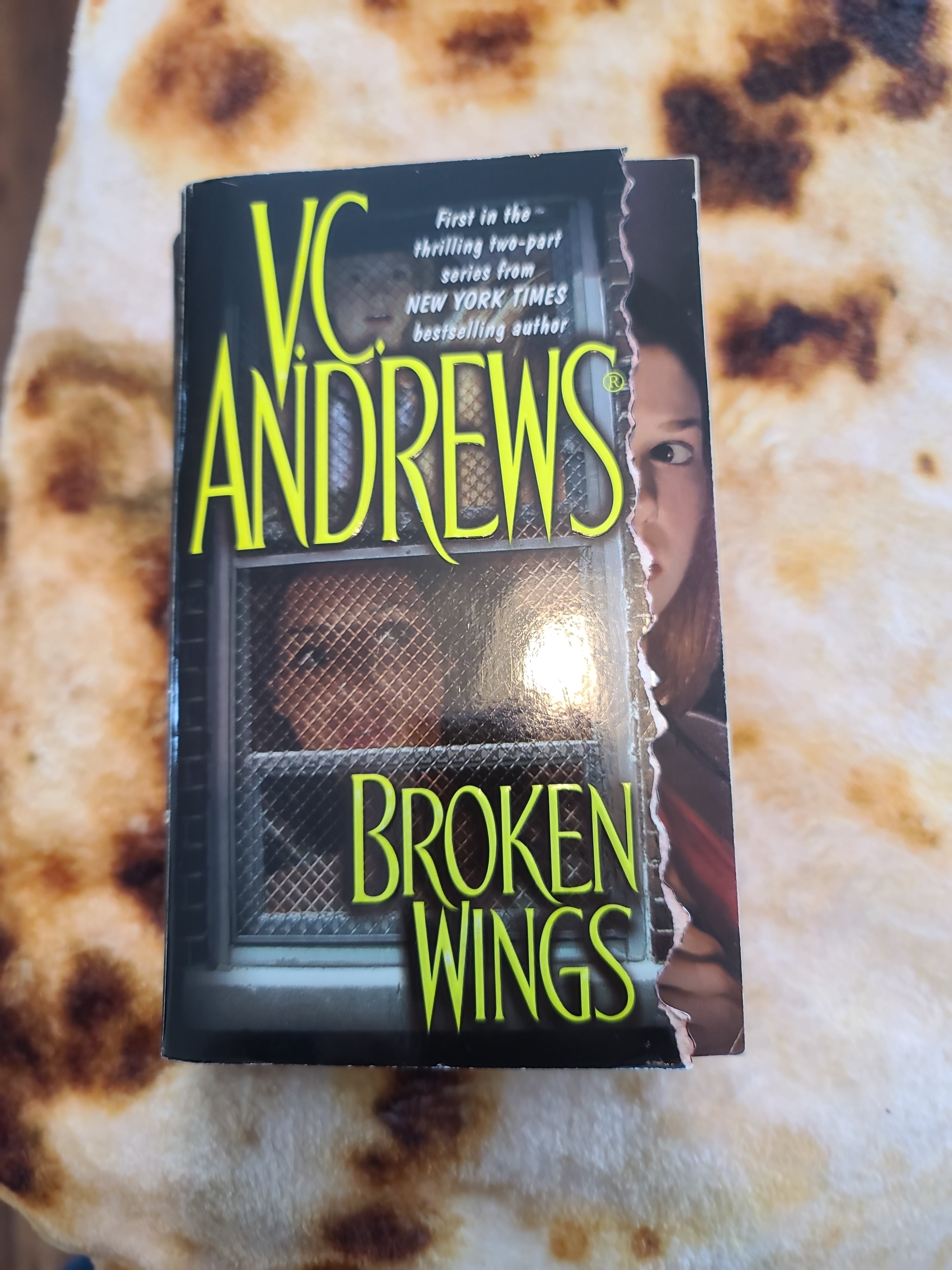 Broken Wings