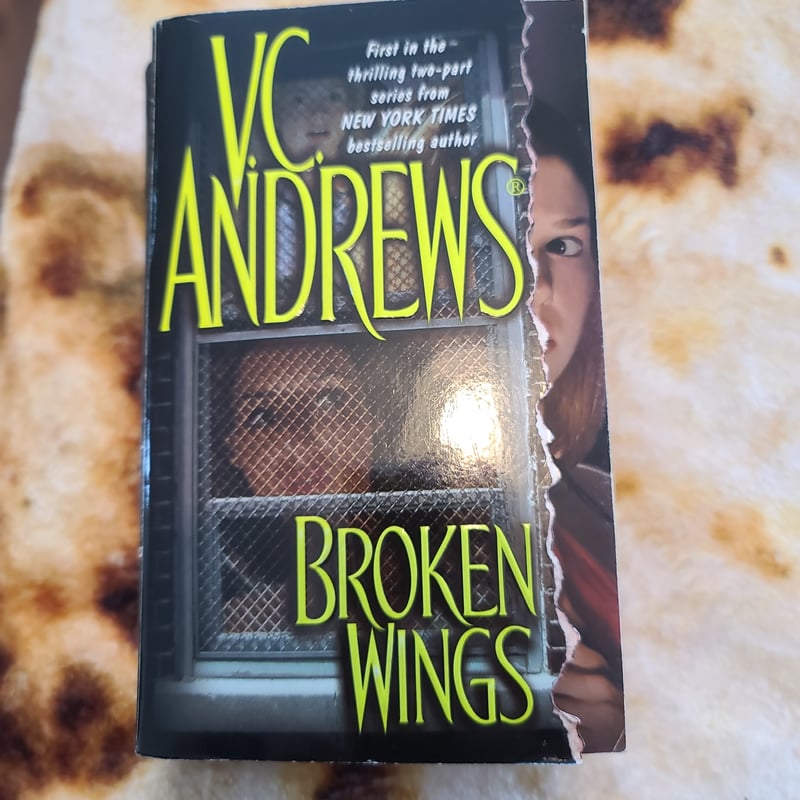 Broken Wings
