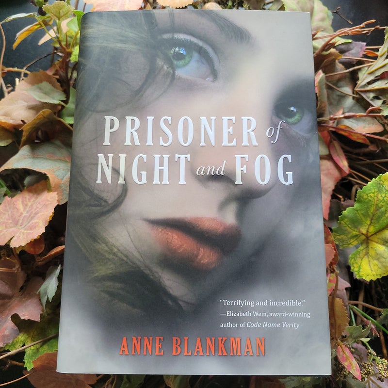 Prisoner of Night and Fog
