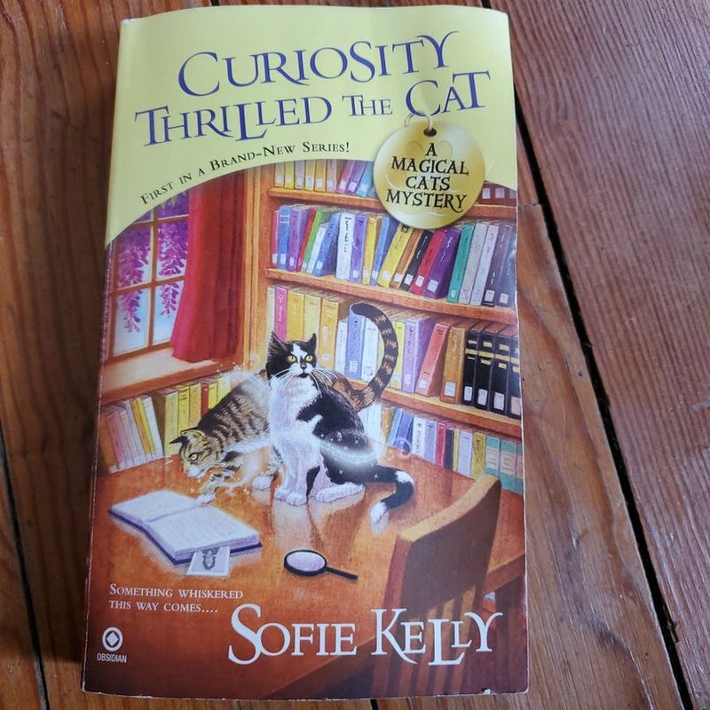 Curiosity Thrilled the Cat