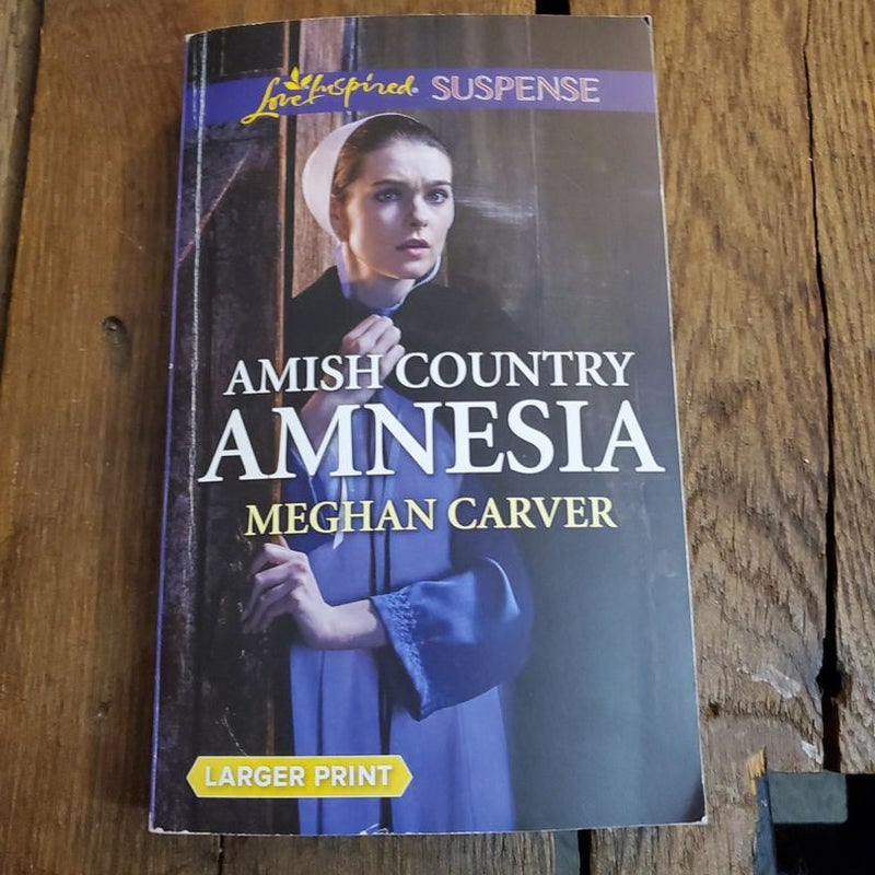 Amish Country Amnesia