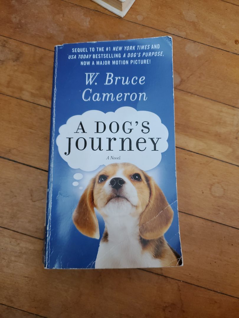 A Dog's Journey