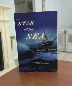Brand New Star of the Sea by Joseph O'Connor