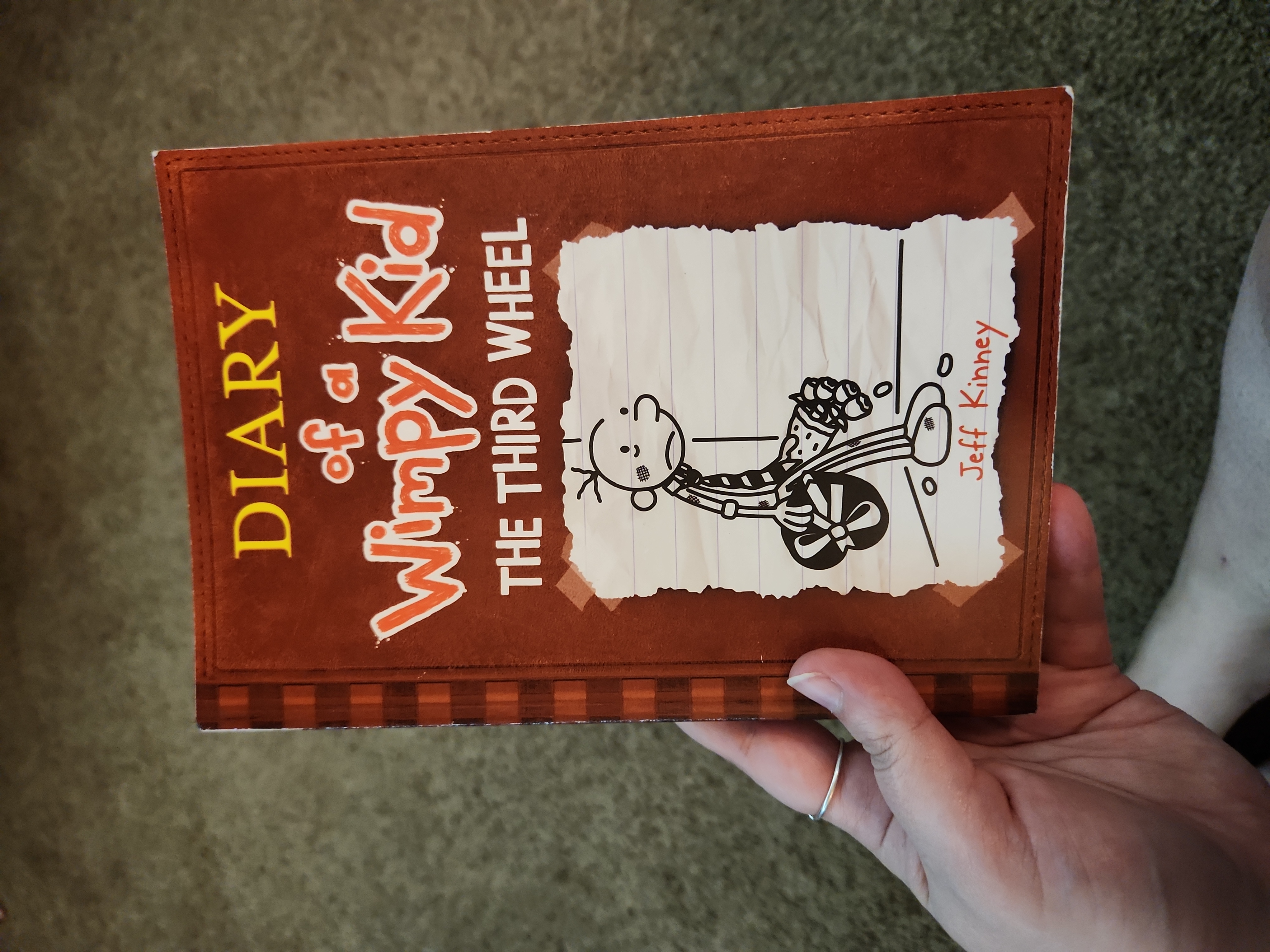 9781419707292 book cover