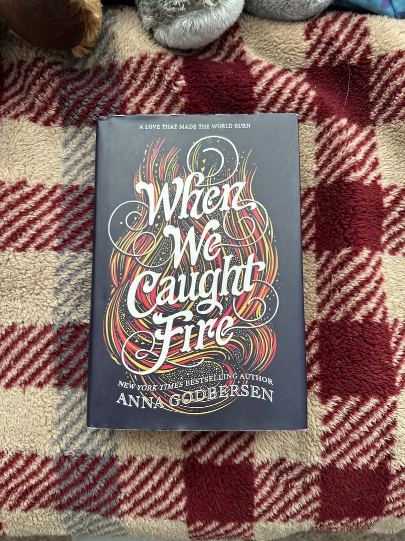 When We Caught Fire