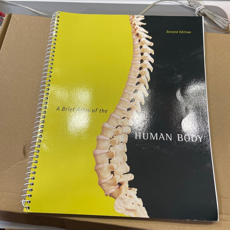 A Brief Atlas of the Human Body