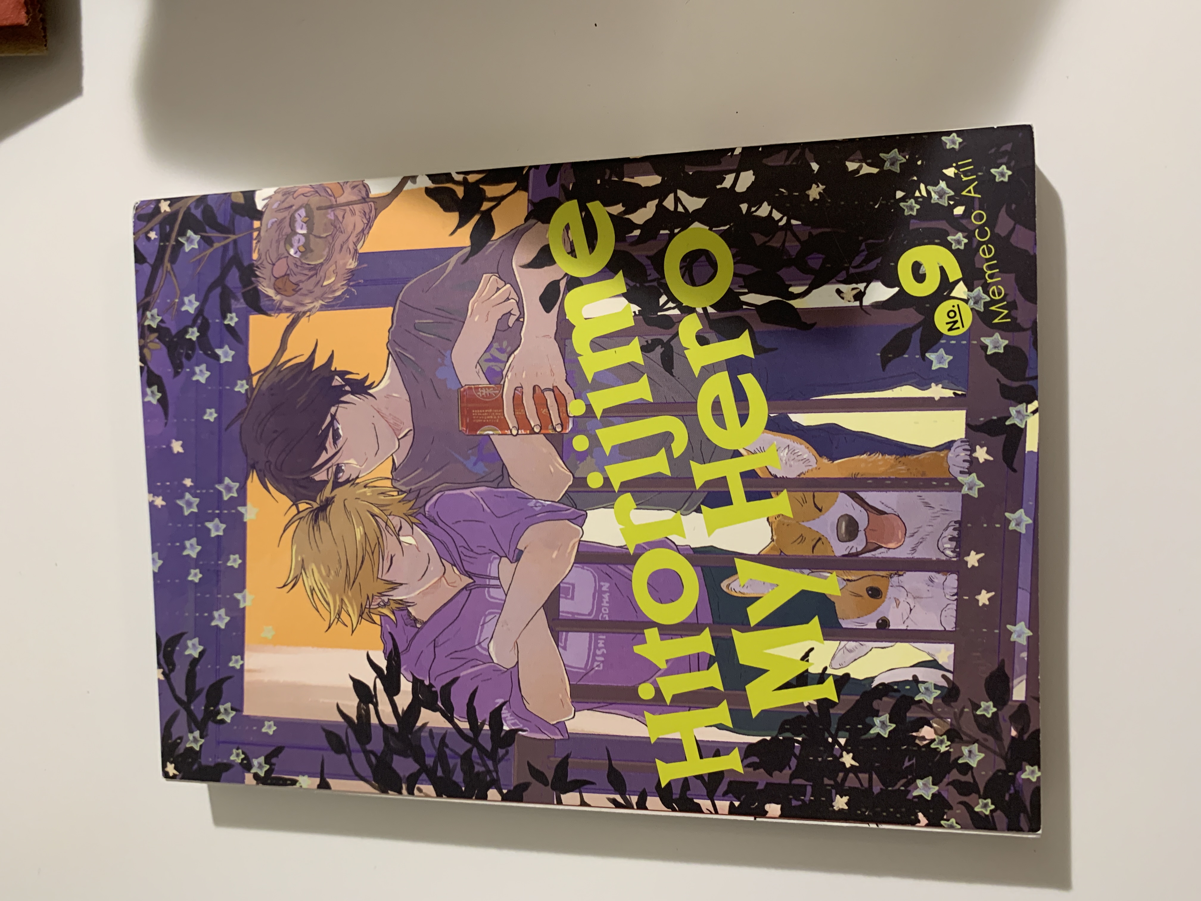 Hitorijime My Hero 9