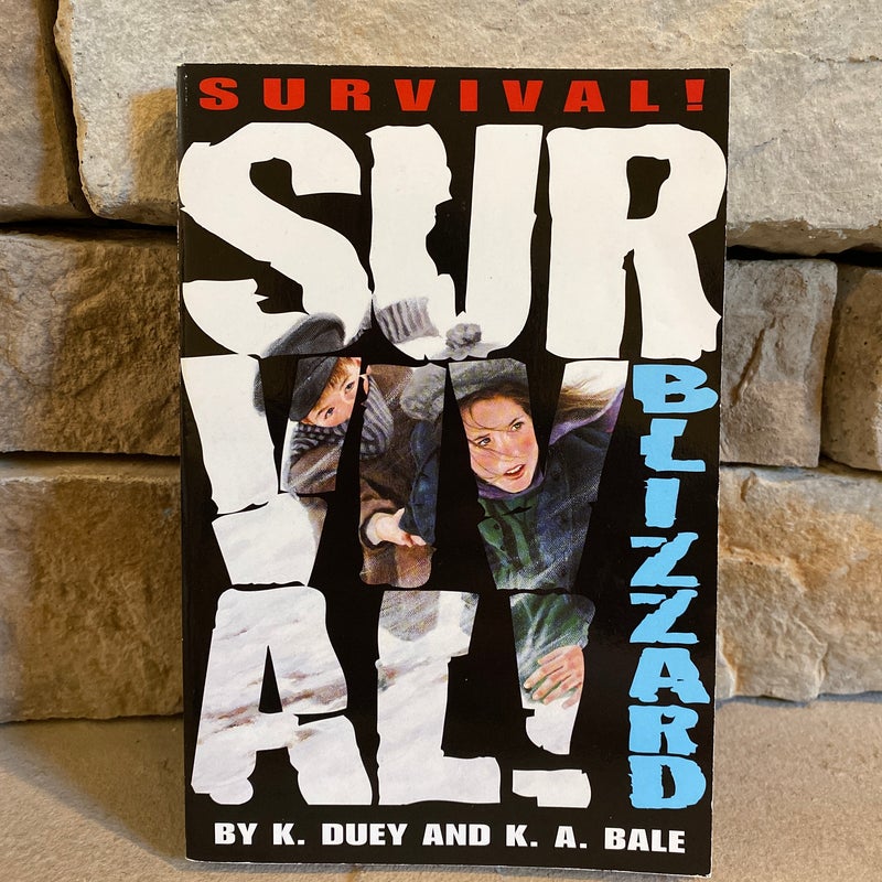 Survival: Blizzard