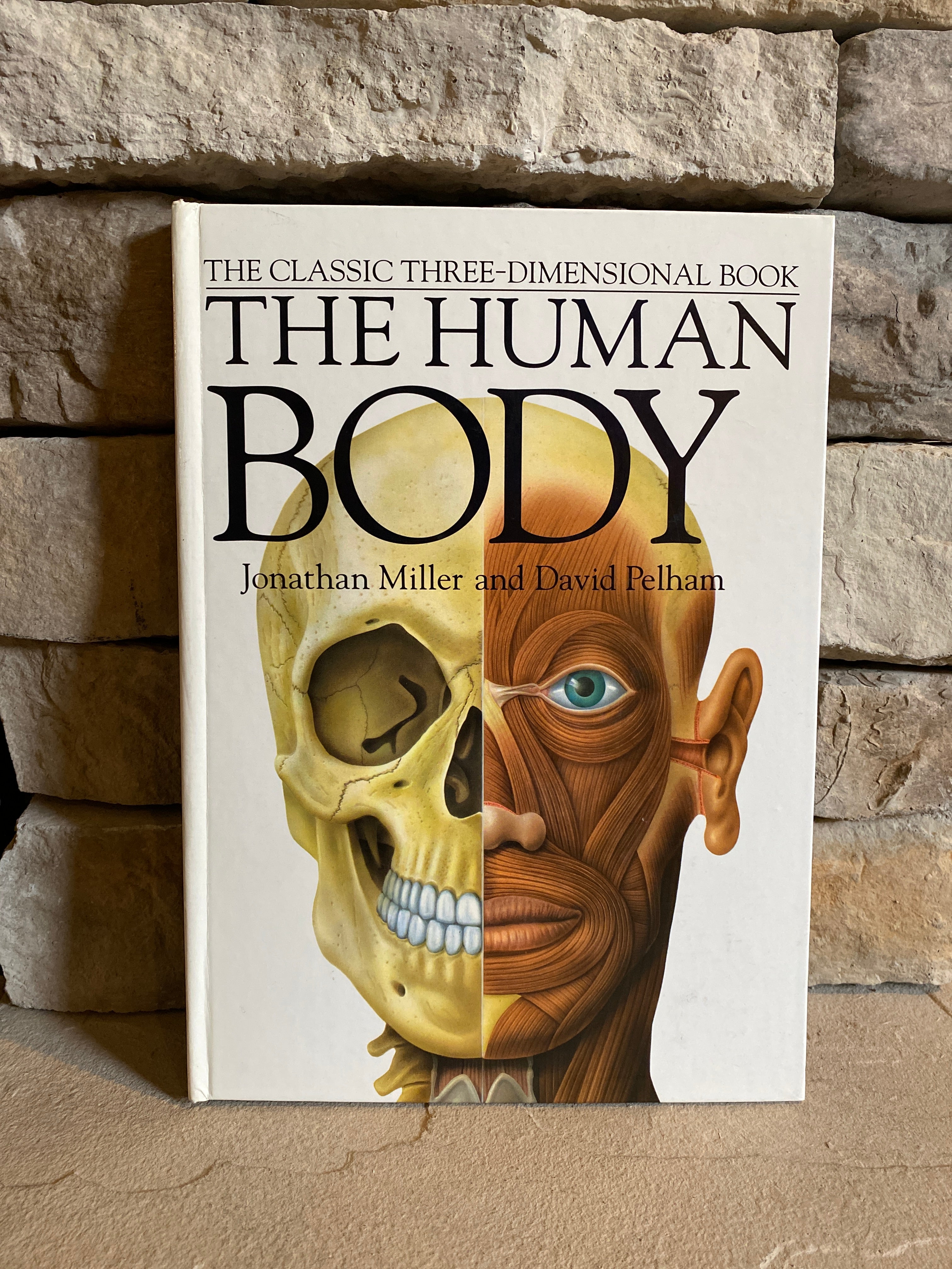 Human Body