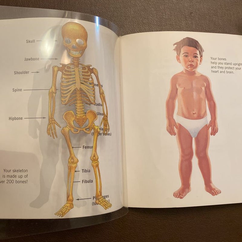 First discovery: The Human Body