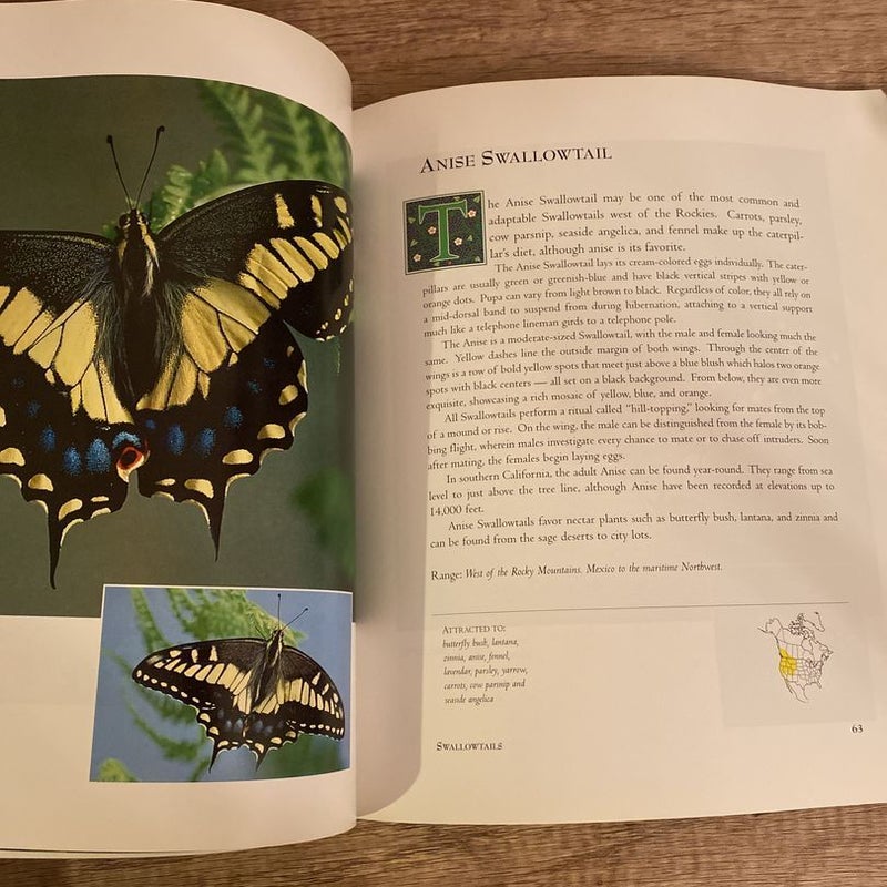 Garden Butterflies of North America
