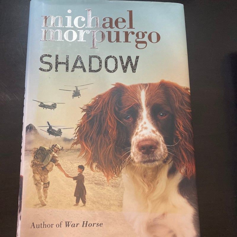 Shadow