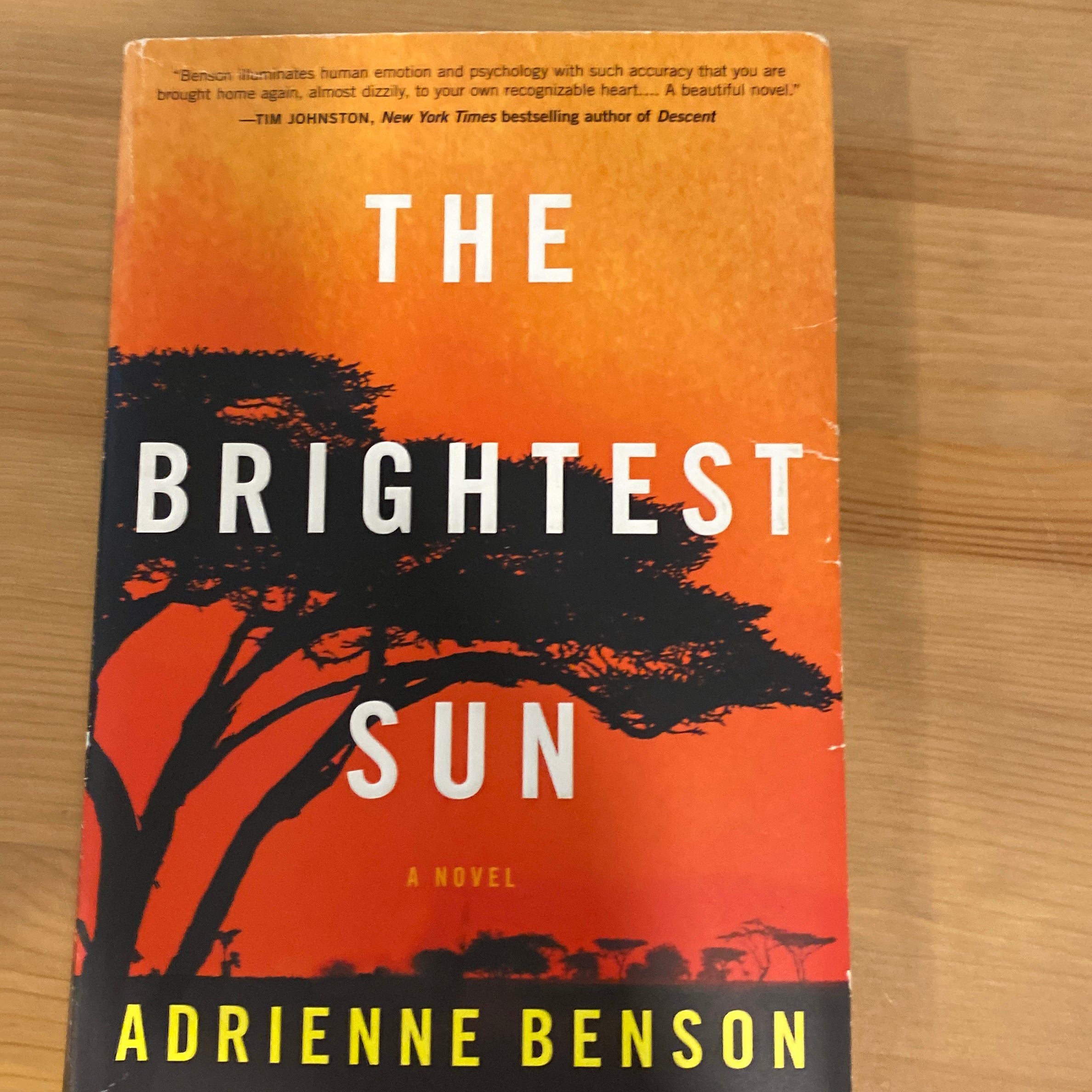 Paperback　Adrienne　Sun　by　Benson,　Pangobooks　The　Brightest