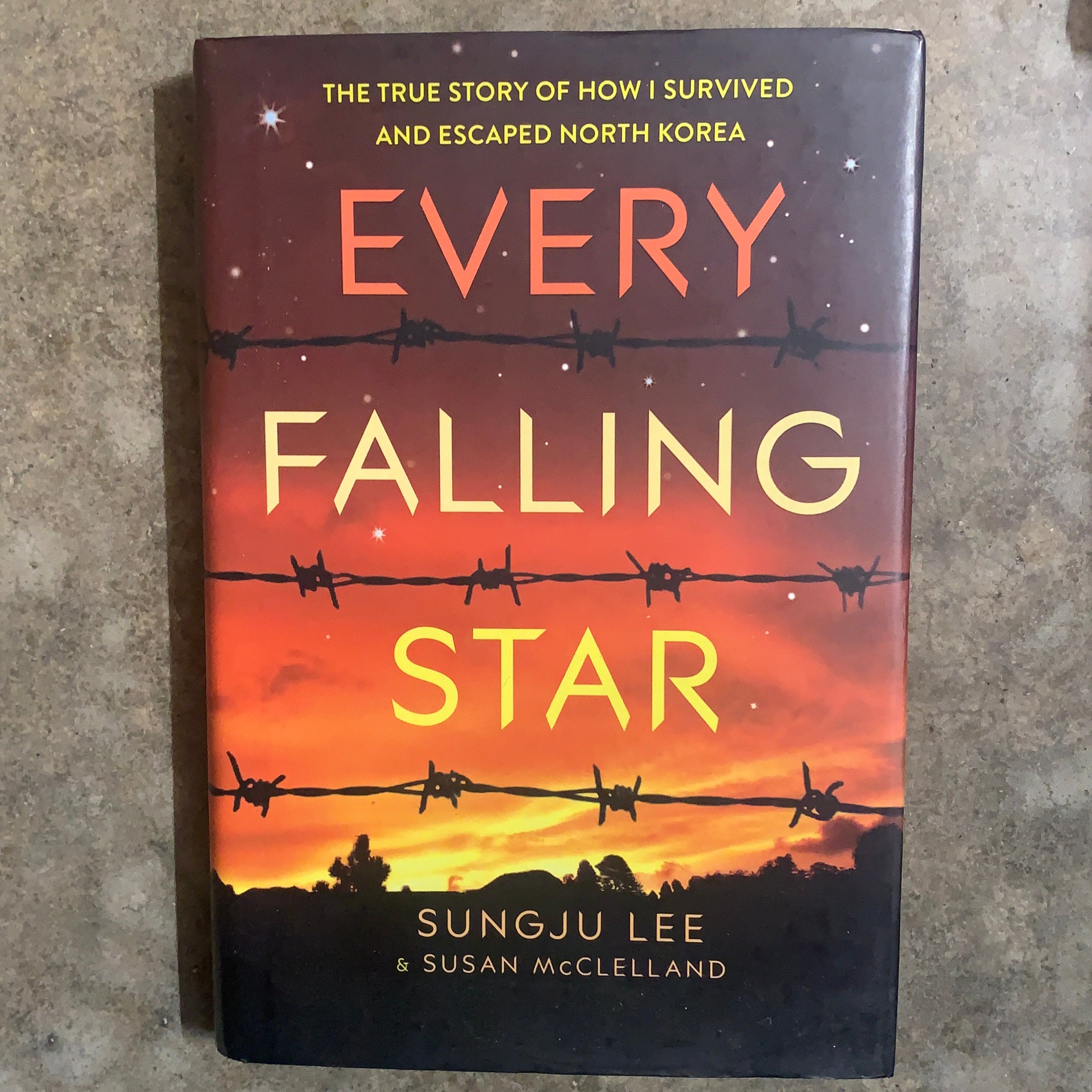 Every Falling Star