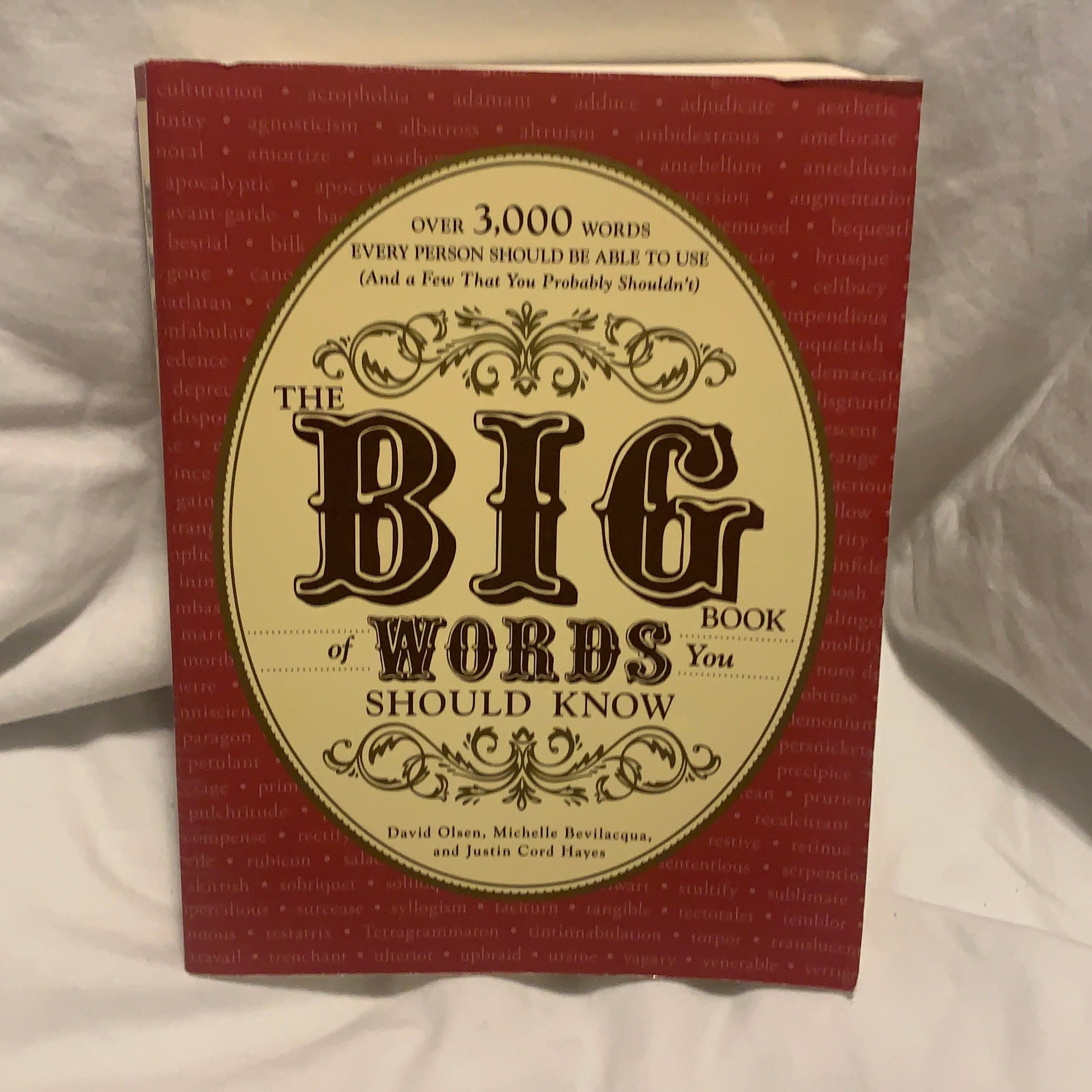 The Big Book of Words You Should Know