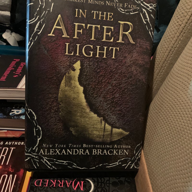 In the Afterlight (Bonus Content)