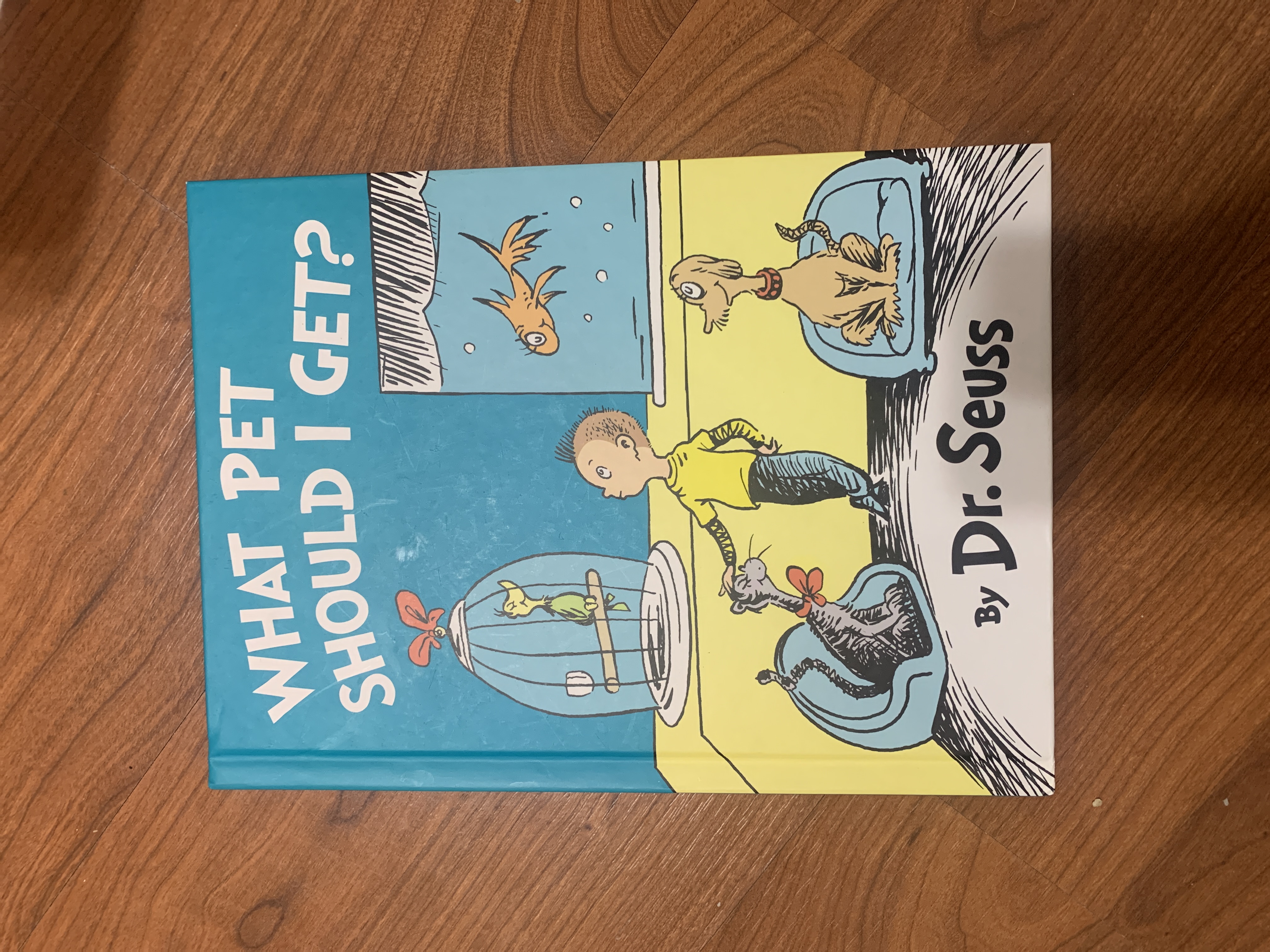 What Pet Should I Get?