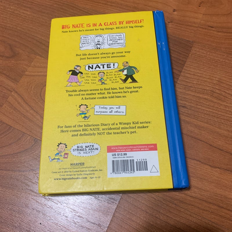 NEW- Big Nate: in a Class by Himself